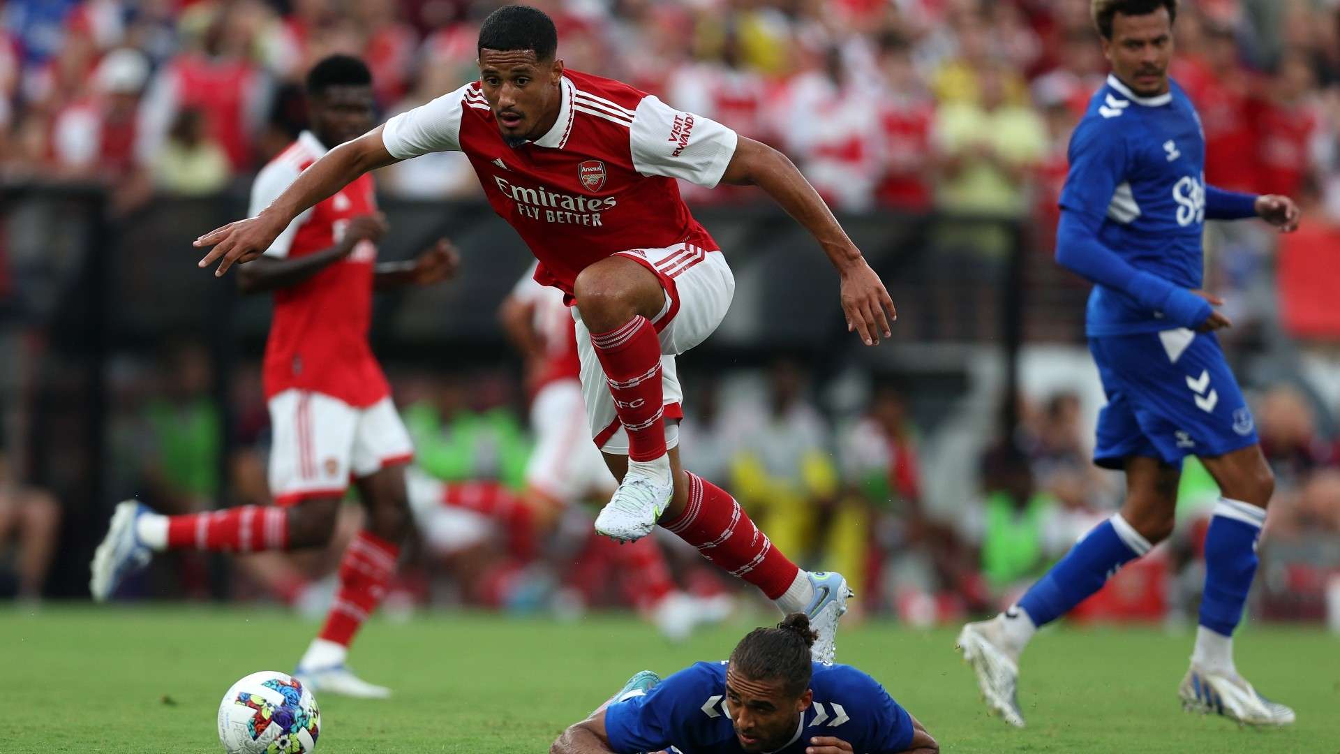 不仅仅是一 不仅仅是一